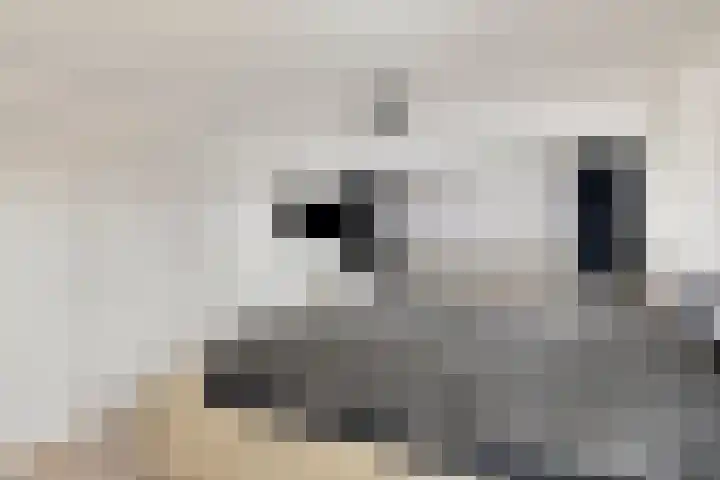 Baltussenweg 21 Driel thumbnail 16
