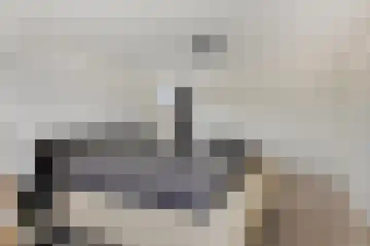 Baltussenweg 21 Driel thumbnail 17
