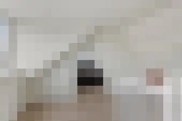 Baltussenweg 21 Driel thumbnail 24