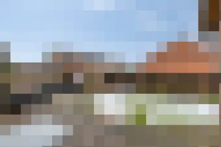 Baltussenweg 21 Driel thumbnail 28
