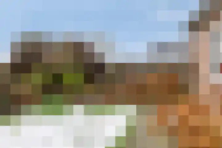 Baltussenweg 21 Driel thumbnail 31