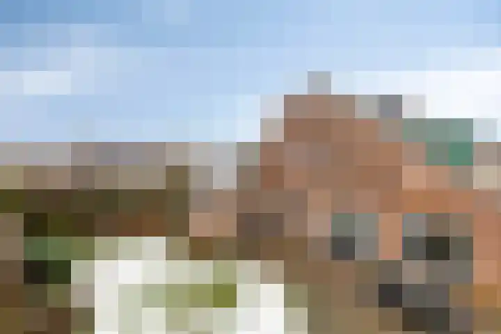 Baltussenweg 21 Driel thumbnail 33