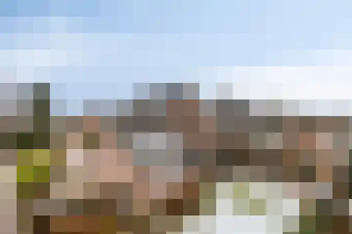 Baltussenweg 21 Driel thumbnail 34