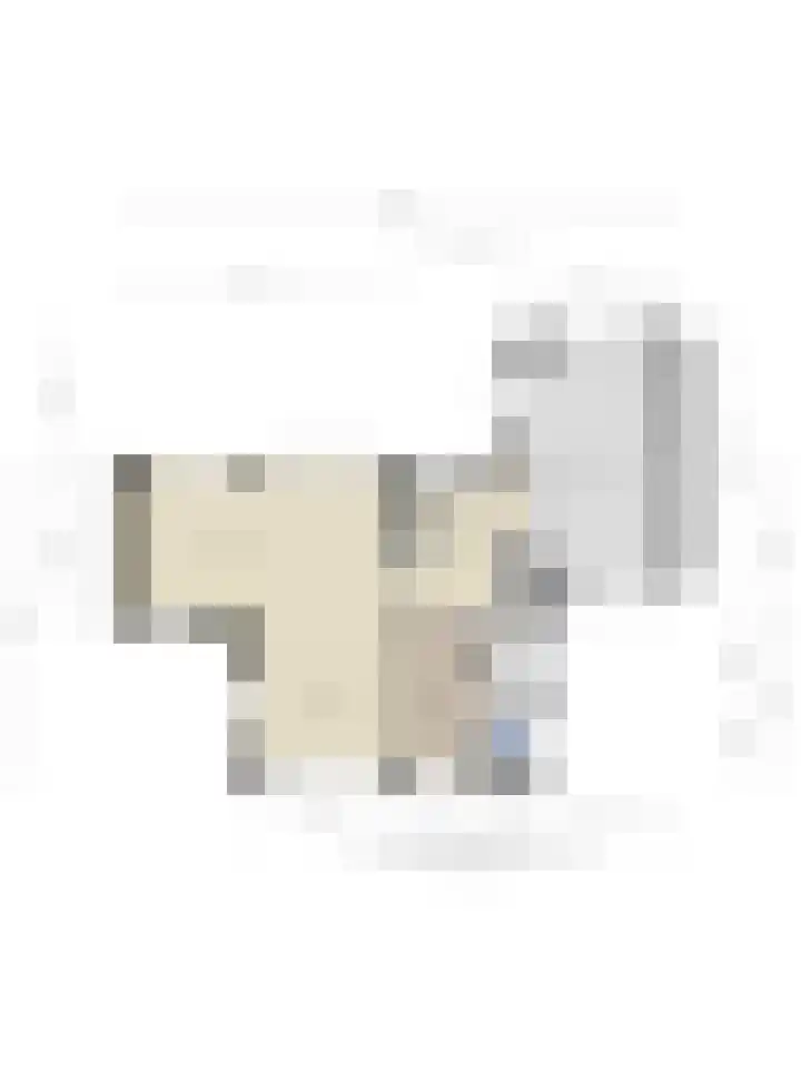 Baltussenweg 21 Driel thumbnail 37