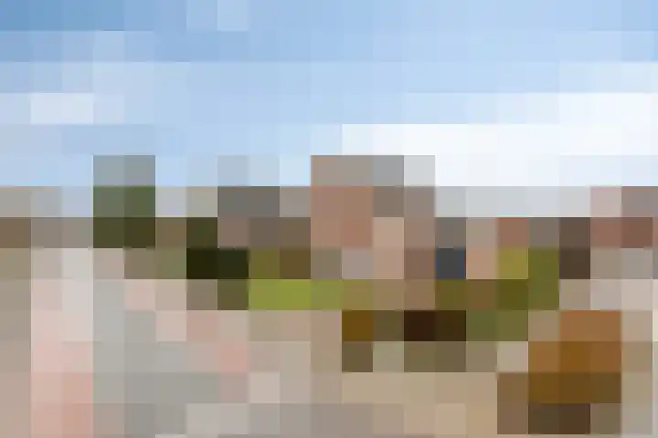 Baltussenweg 21 Driel thumbnail 4