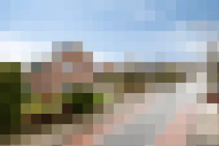 Baltussenweg 21 Driel thumbnail 5