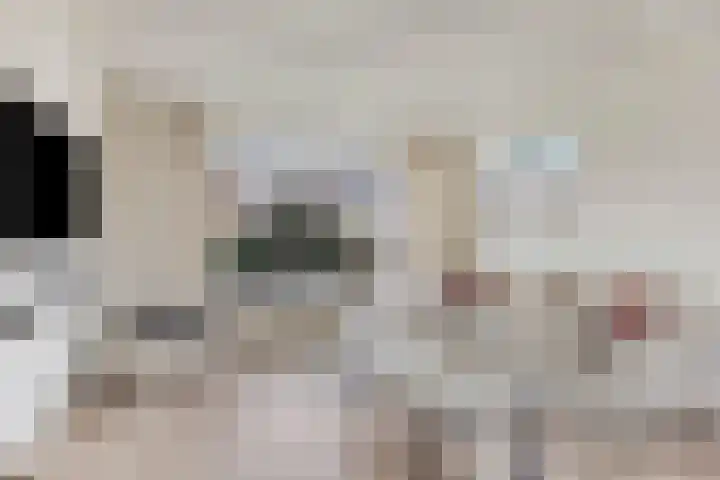 Baltussenweg 21 Driel thumbnail 7