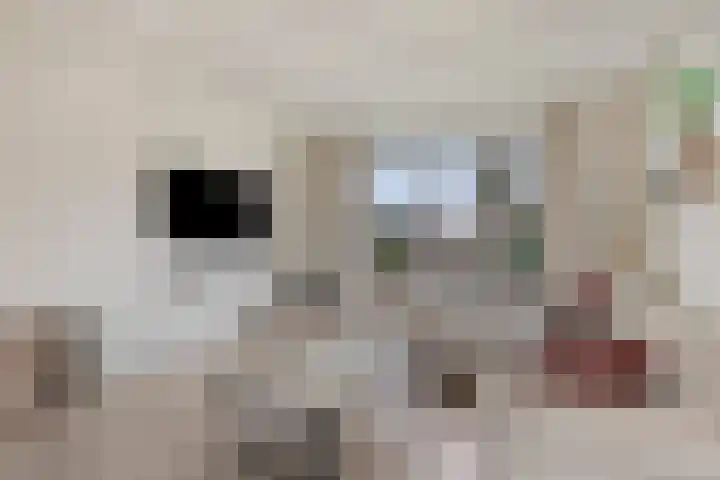 Baltussenweg 21 Driel thumbnail 8