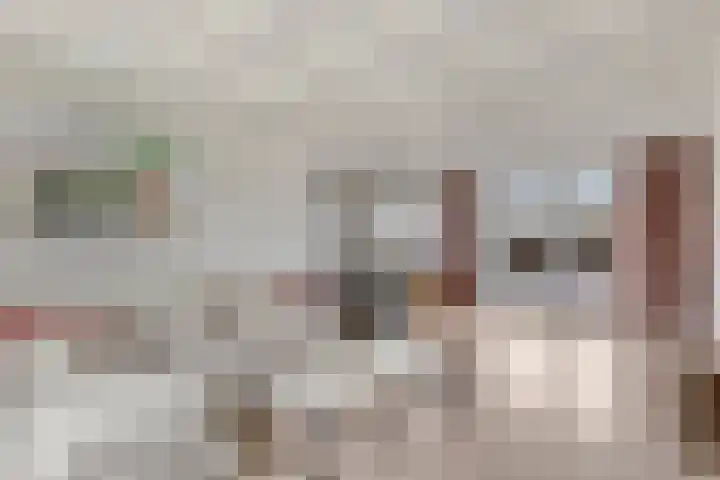 Baltussenweg 21 Driel thumbnail 9