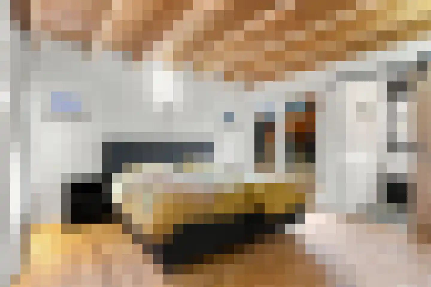 Baltussenweg 8 Driel thumbnail 14