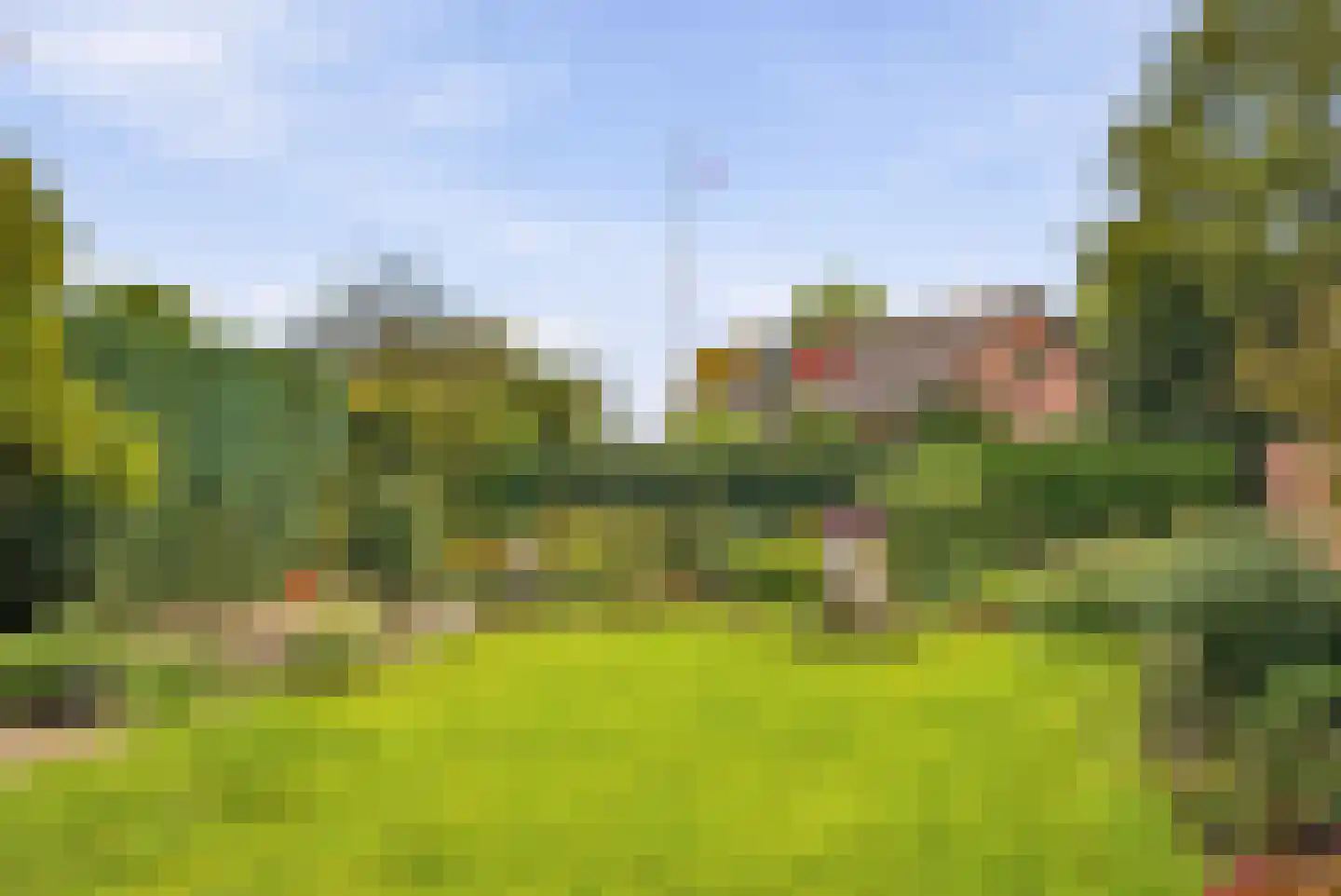 Baltussenweg 8 Driel foto 3