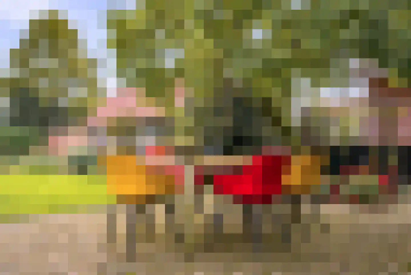 Baltussenweg 8 Driel thumbnail 32