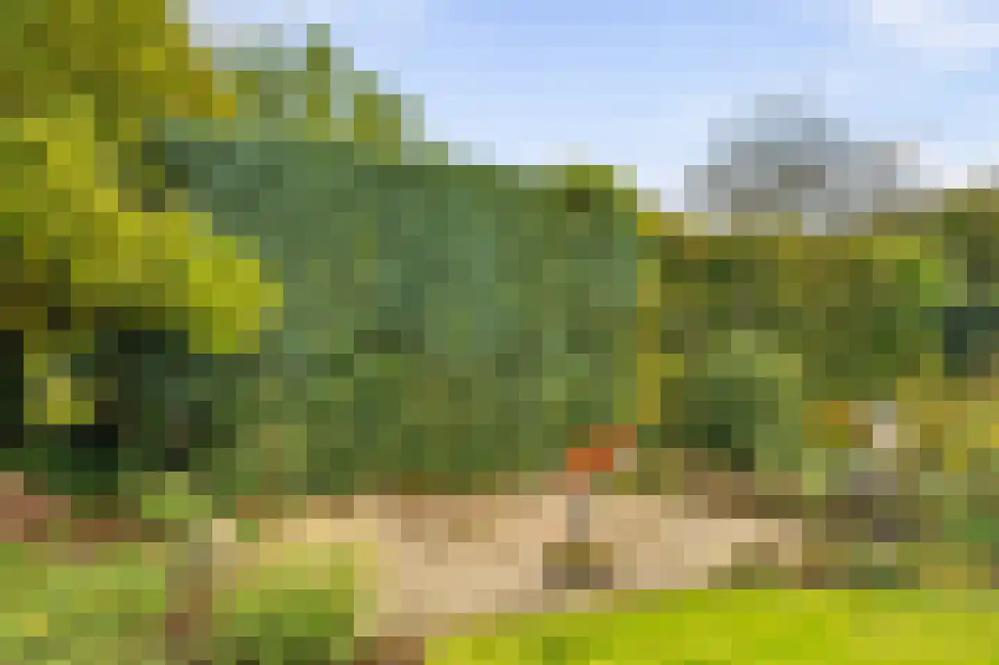 Baltussenweg 8 Driel thumbnail 35