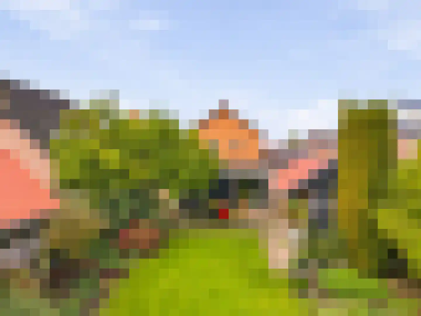 Baltussenweg 8 Driel thumbnail 36