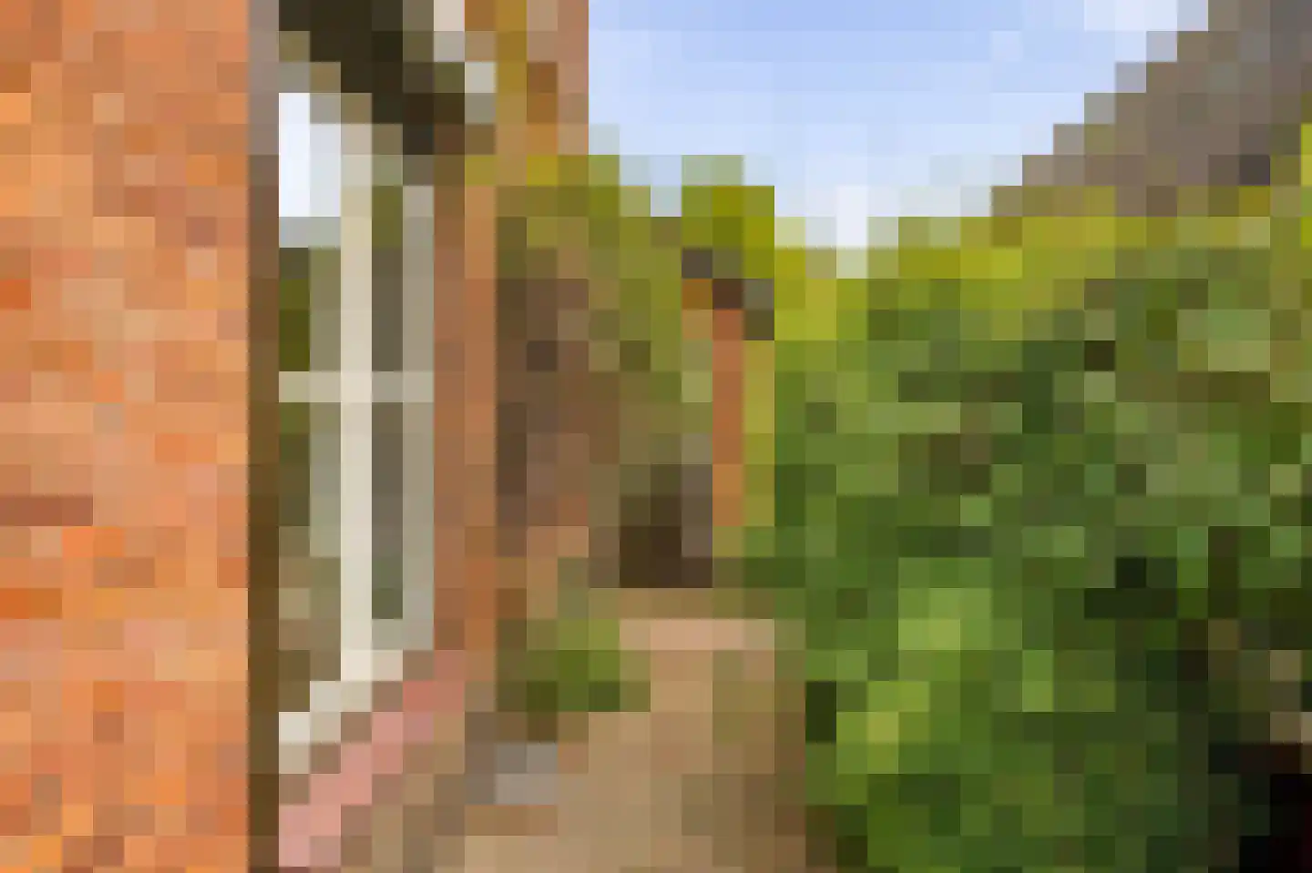 Baltussenweg 8 Driel thumbnail 39