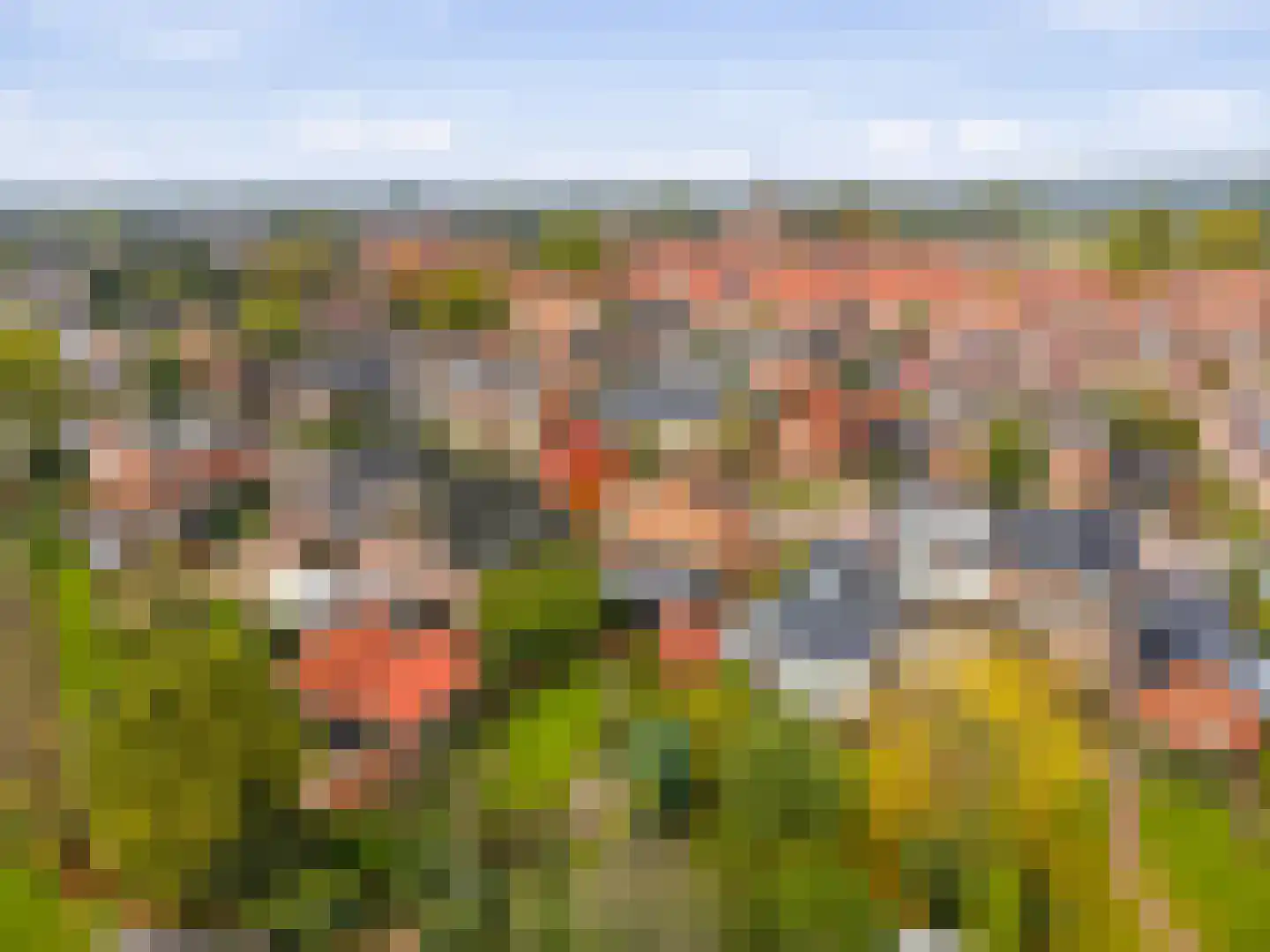 Baltussenweg 8 Driel thumbnail 40