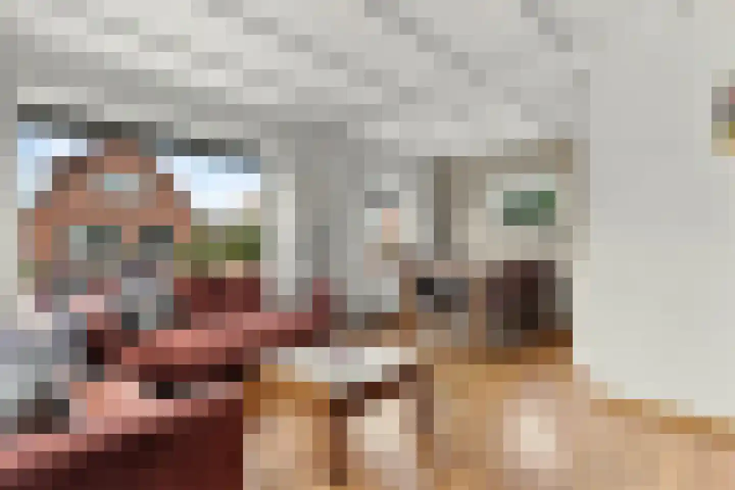 Baltussenweg 8 Driel thumbnail 7