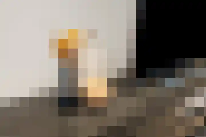 Bambistraat 6 Druten thumbnail 11