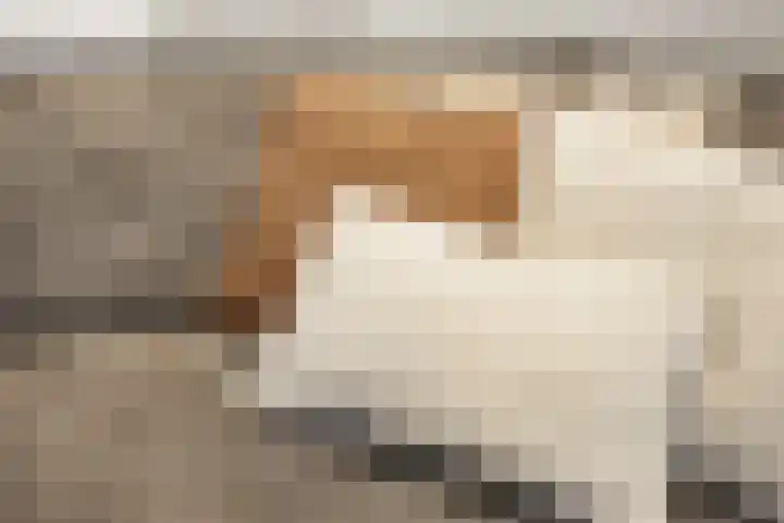 Bambistraat 6 Druten thumbnail 12