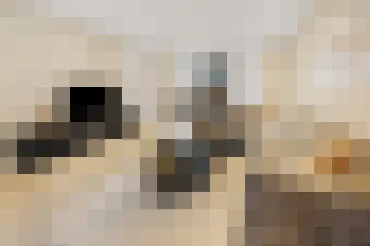 Bambistraat 6 Druten thumbnail 13