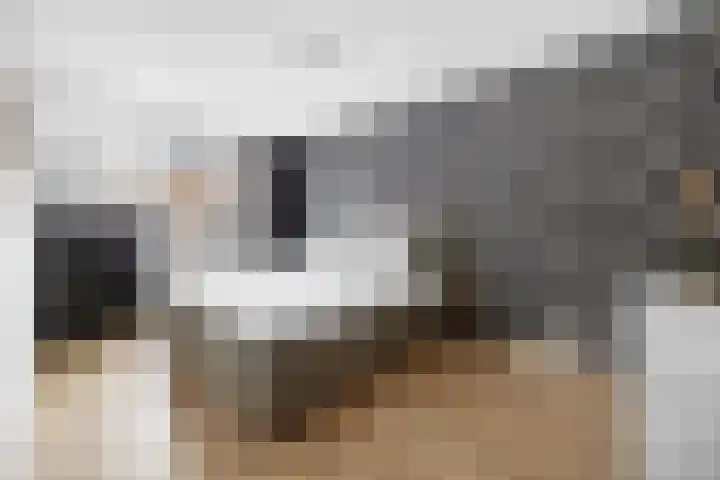 Bambistraat 6 Druten thumbnail 21