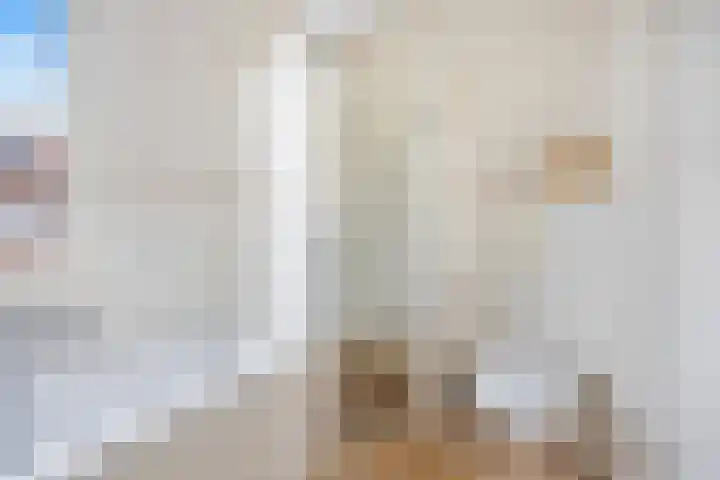 Bambistraat 6 Druten thumbnail 28