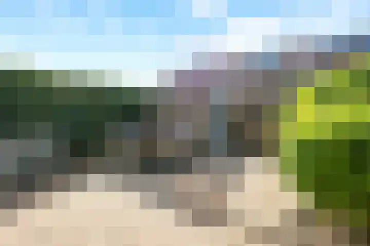 Bambistraat 6 Druten thumbnail 39