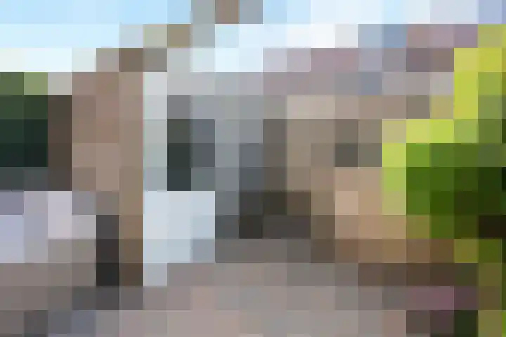 Bambistraat 6 Druten thumbnail 41