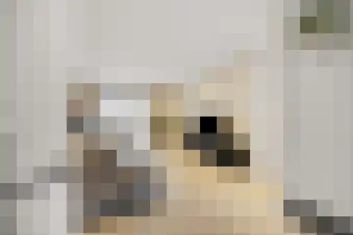 Bambistraat 6 Druten thumbnail 7