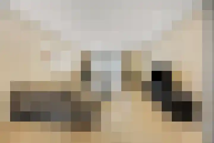 Bambistraat 6 Druten thumbnail 8
