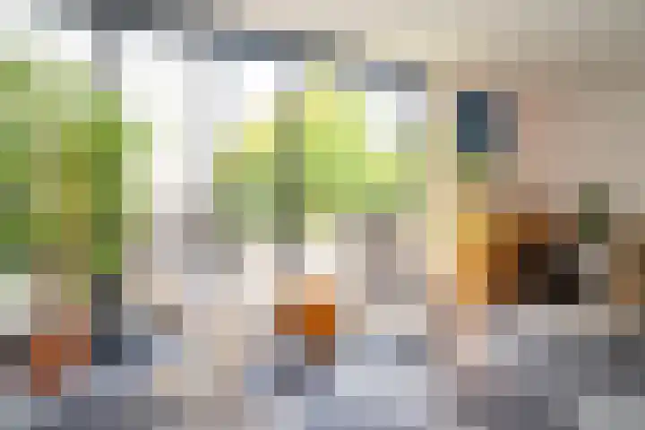 Bamshoevelaan 4 Enschede thumbnail 10