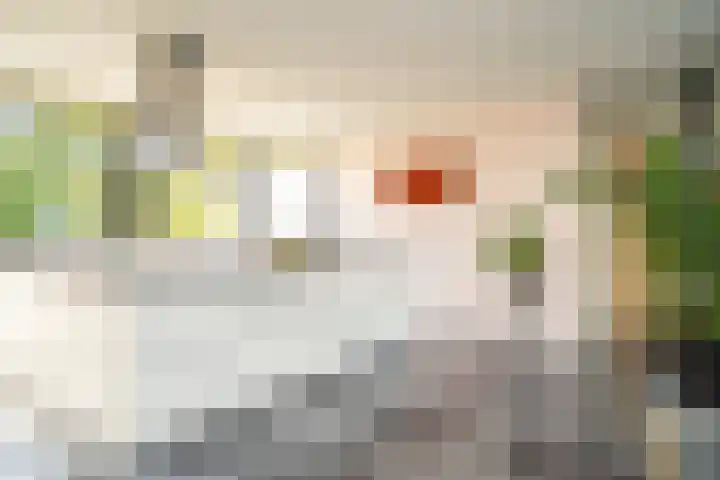 Bamshoevelaan 4 Enschede thumbnail 16