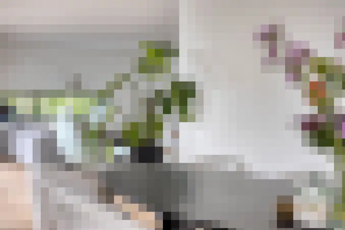 Bamshoevelaan 4 Enschede thumbnail 16