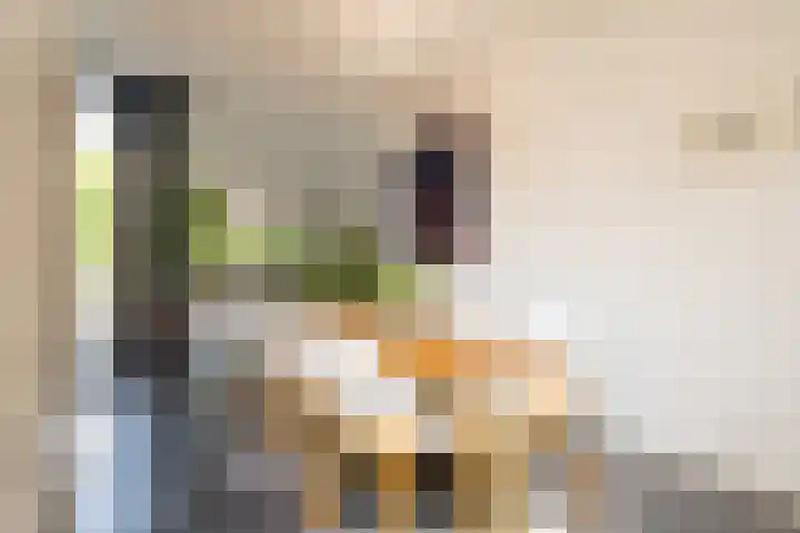 Bamshoevelaan 4 Enschede thumbnail 20