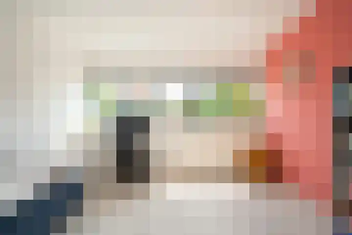 Bamshoevelaan 4 Enschede thumbnail 33