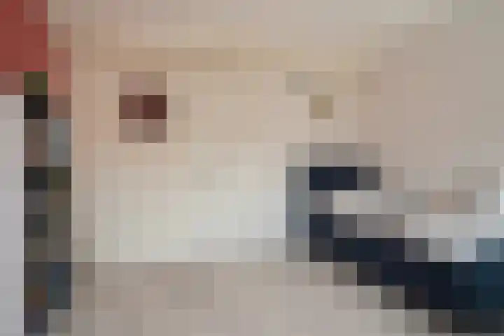 Bamshoevelaan 4 Enschede thumbnail 35