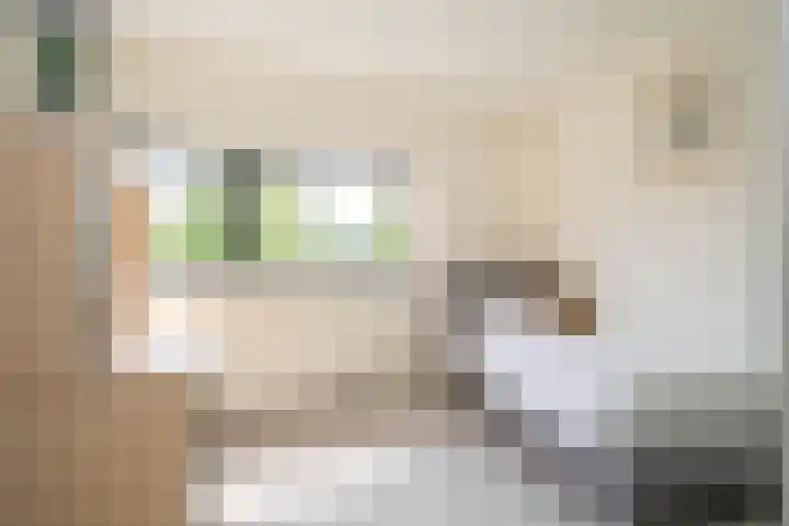 Bamshoevelaan 4 Enschede thumbnail 36
