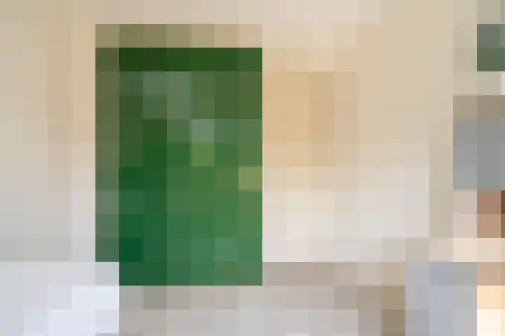 Bamshoevelaan 4 Enschede thumbnail 37