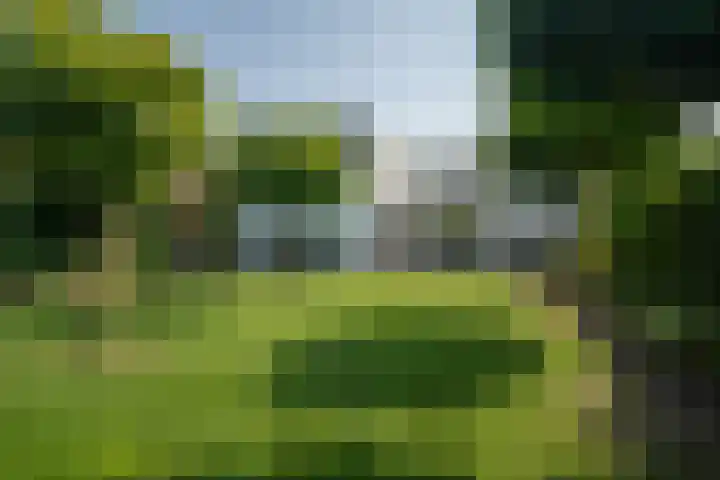 Bamshoevelaan 4 Enschede thumbnail 4