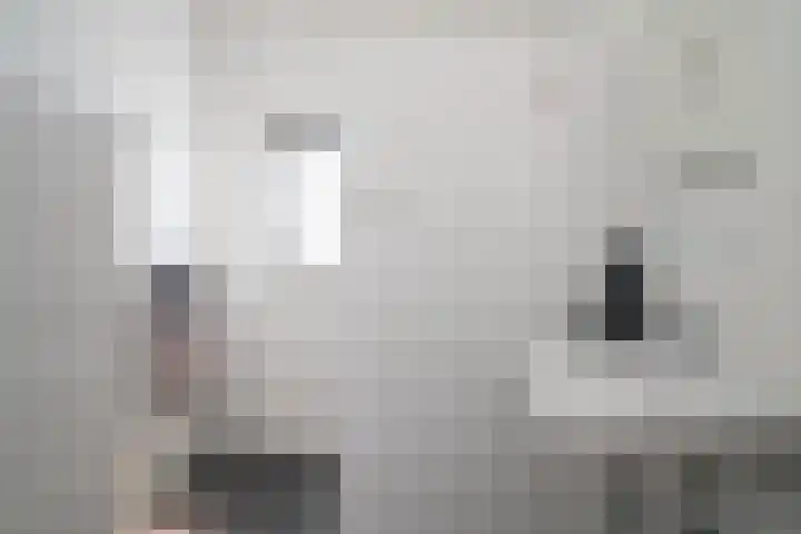Bamshoevelaan 4 Enschede thumbnail 40
