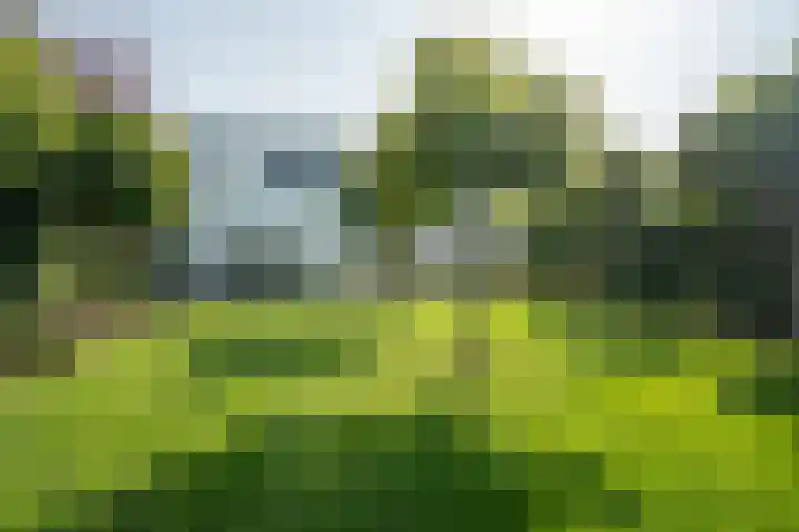 Bamshoevelaan 4 Enschede thumbnail 53