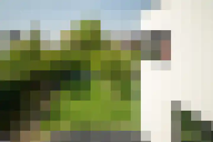 Bamshoevelaan 4 Enschede thumbnail 55
