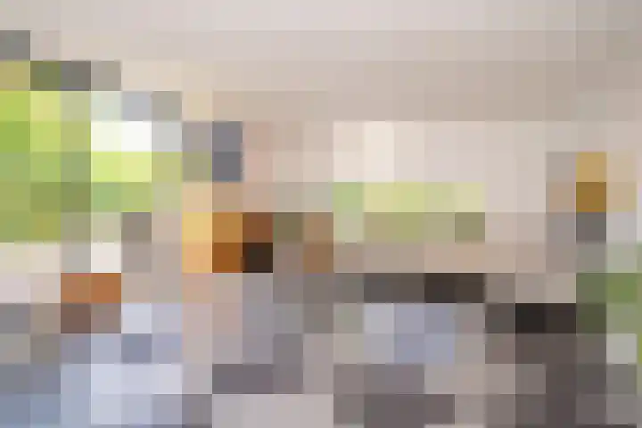 Bamshoevelaan 4 Enschede thumbnail 8