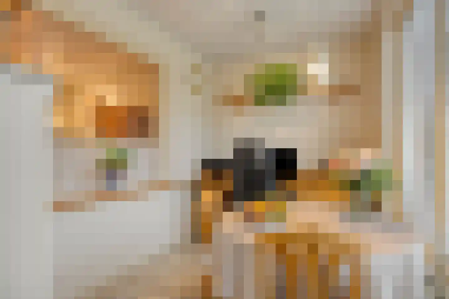 Banakkerstraat 28 Etten-Leur thumbnail 18
