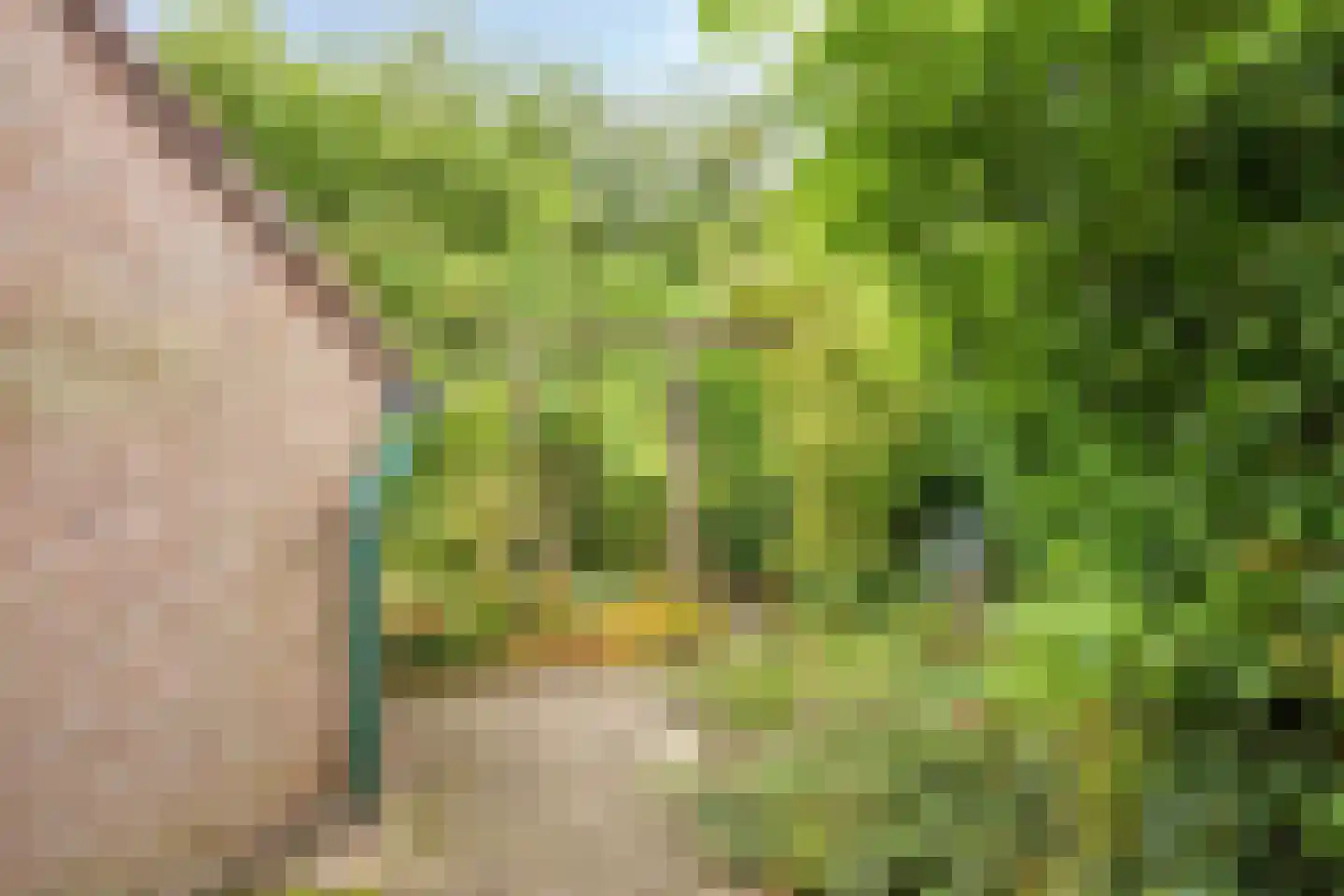 Bananengaarde 35 Zoetermeer thumbnail 25