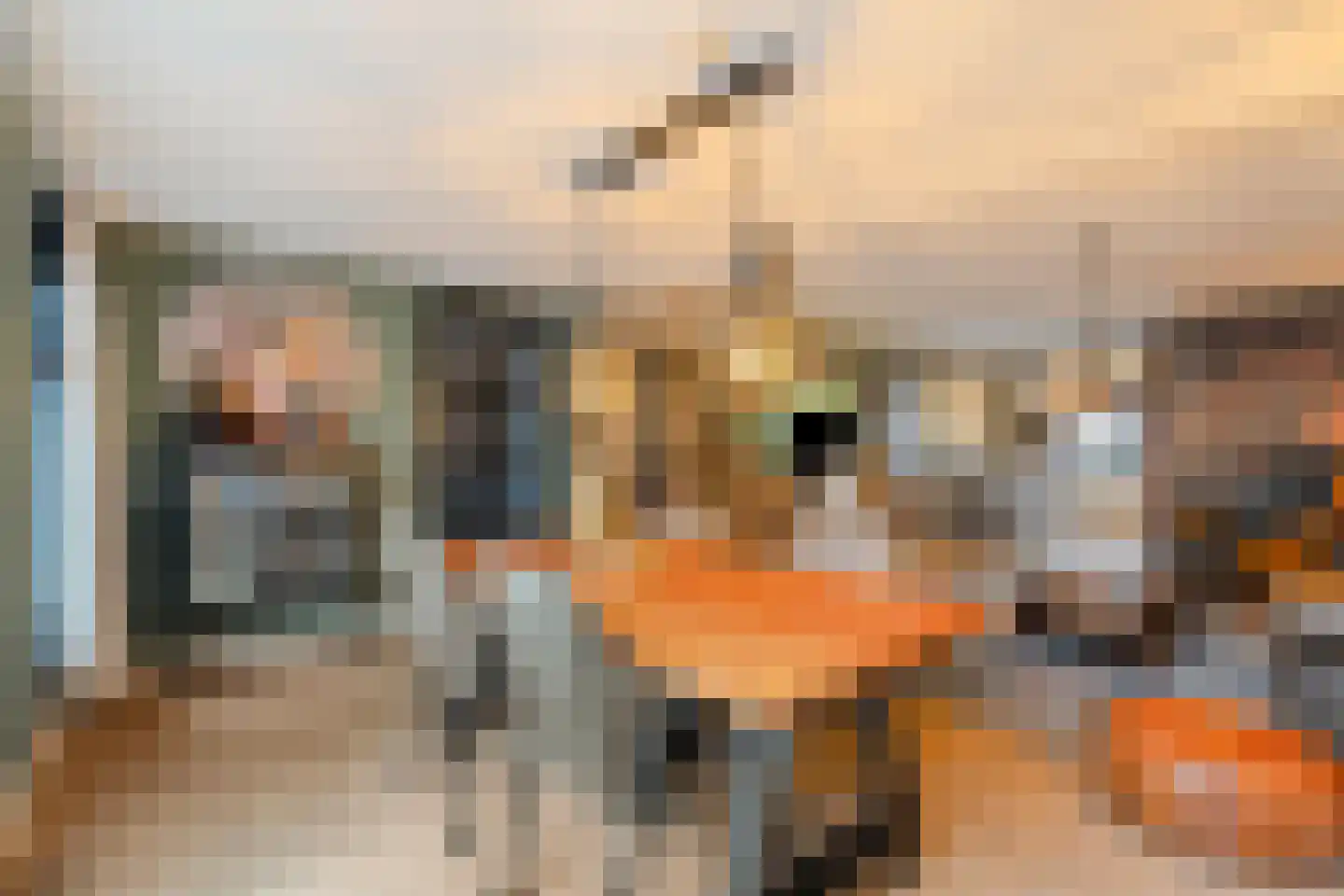 Banbroek 25 Hippolytushoef thumbnail 12