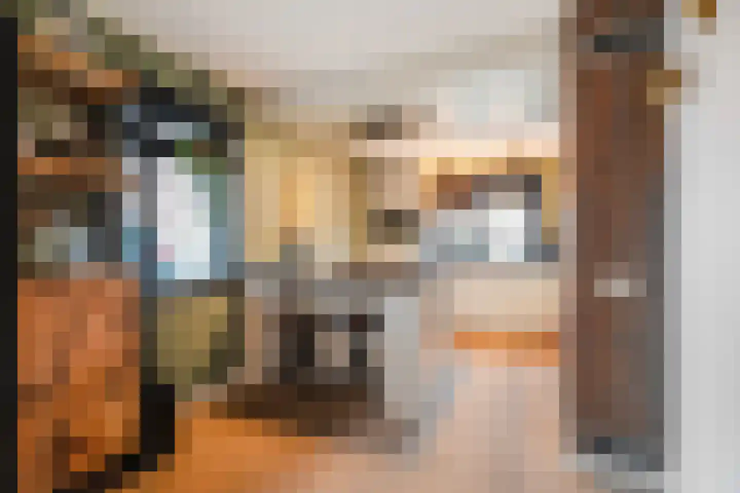 Banbroek 25 Hippolytushoef thumbnail 13