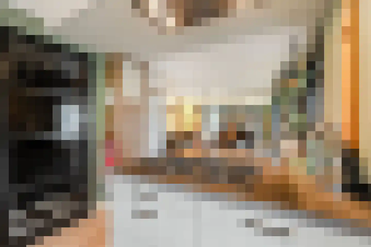 Banbroek 25 Hippolytushoef thumbnail 14
