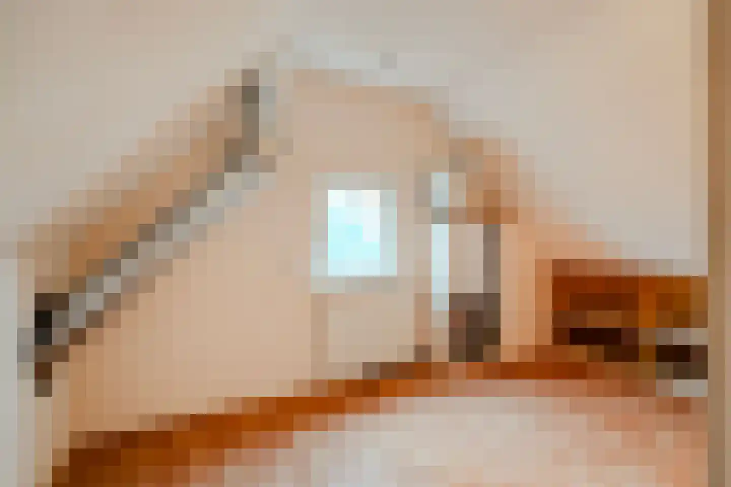 Banbroek 25 Hippolytushoef thumbnail 23