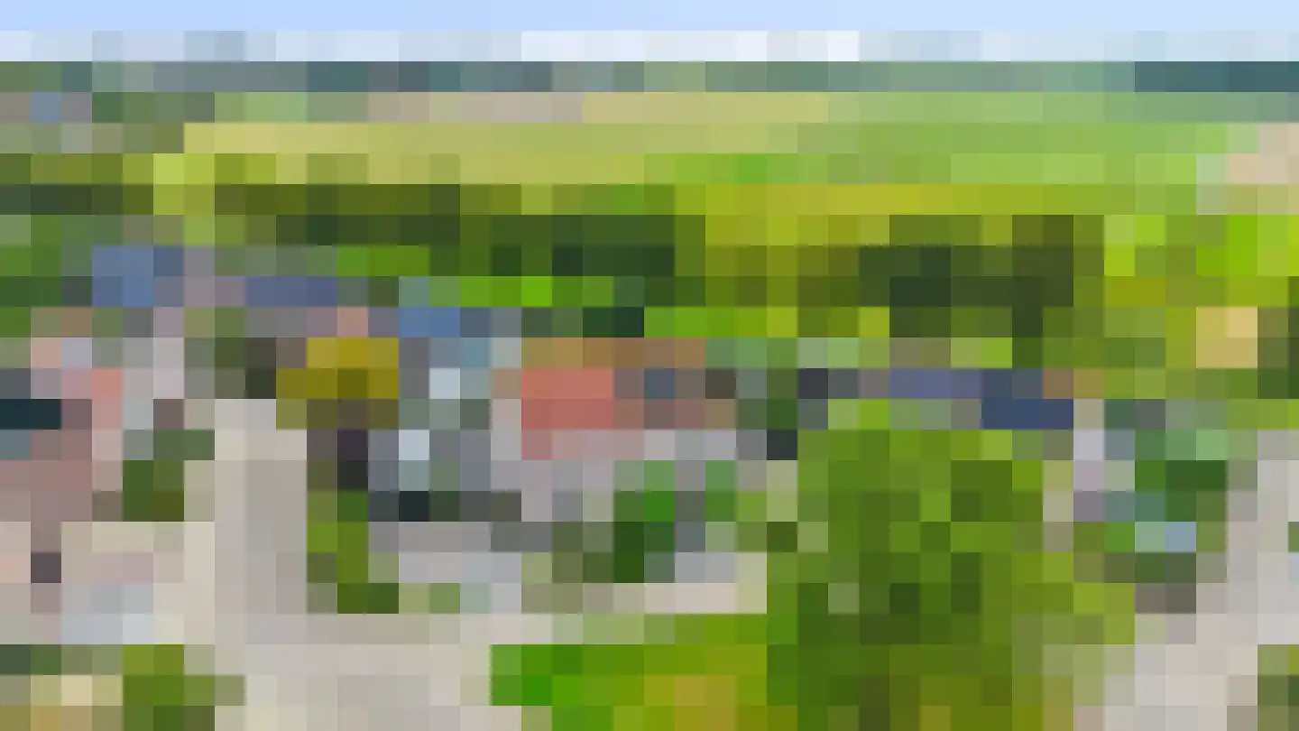 Banbroek 25 Hippolytushoef thumbnail 32